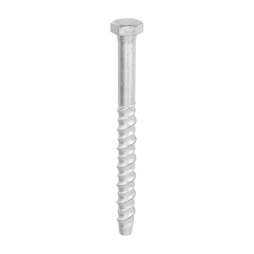 This is an image showing TIMCO Multi-Fix Masonry Bolts - Hex - Exterior - Silver - 12.0 x 150 - 25 Pieces Box available from T.H Wiggans Ironmongery in Kendal, quick delivery at discounted prices.