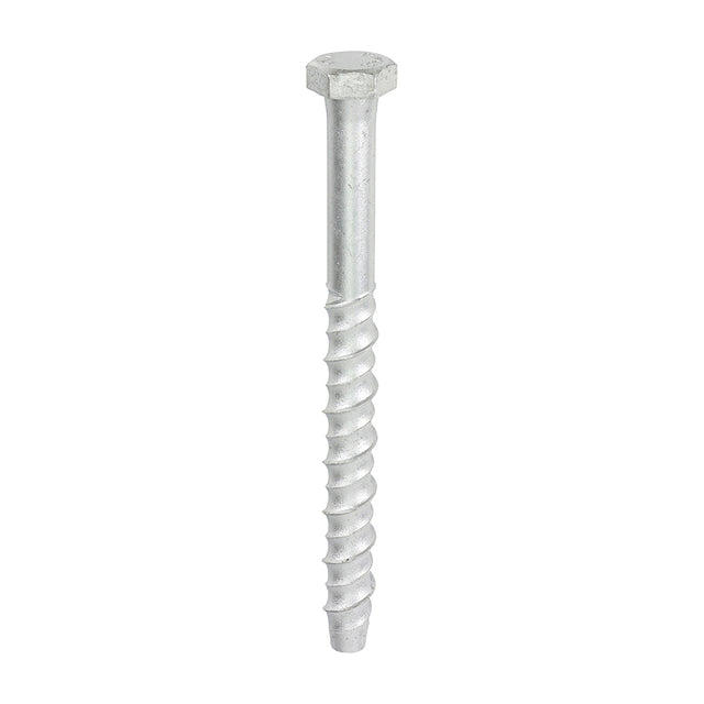 This is an image showing TIMCO Multi-Fix Masonry Bolts - Hex - Exterior - Silver - 12.0 x 150 - 25 Pieces Box available from T.H Wiggans Ironmongery in Kendal, quick delivery at discounted prices.