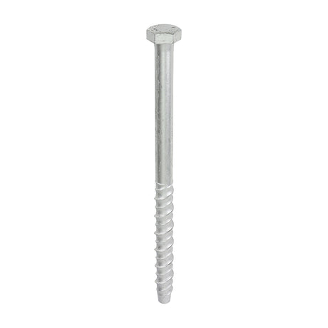 This is an image showing TIMCO Multi-Fix Masonry Bolts - Hex - Exterior - Silver - 12.0 x 200 - 25 Pieces Box available from T.H Wiggans Ironmongery in Kendal, quick delivery at discounted prices.