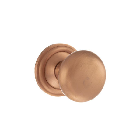 This is an image of Old English Harrogate Solid Brass Mushroom Mortice Knob on Concealed Fix Rose - available to order from T.H Wiggans Architectural Ironmongery in Kendal, quick delivery and discounted prices.