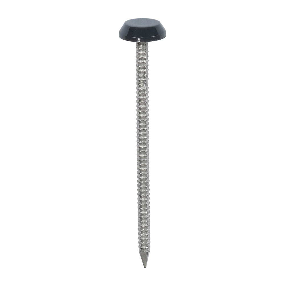 This is an image showing TIMCO Polymer Headed Nails - A4 Stainless Steel - Anthracite Grey - 65mm - 100 Pieces Box available from T.H Wiggans Ironmongery in Kendal, quick delivery at discounted prices.