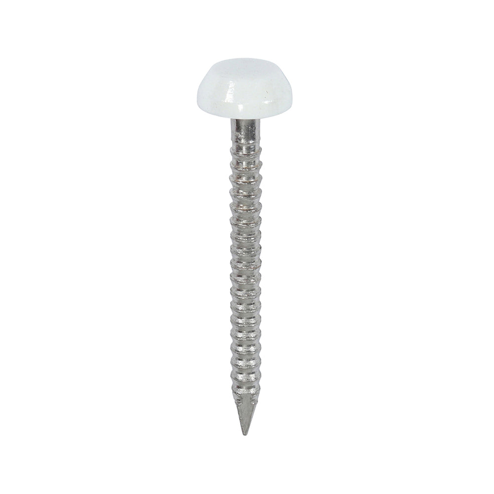 This is an image showing TIMCO Polymer Headed Pins - A4 Stainless Steel - White - 25mm - 250 Pieces Box available from T.H Wiggans Ironmongery in Kendal, quick delivery at discounted prices.