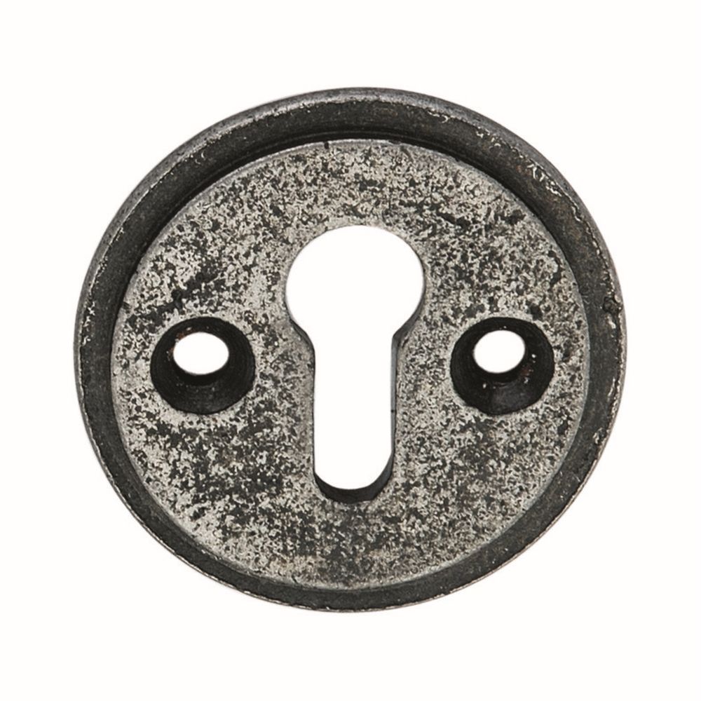 This is an image of Spira Brass - Round EscutcheonPewter available to order from T.H Wiggans Architectural Ironmongery in Kendal, quick delivery and discounted prices.