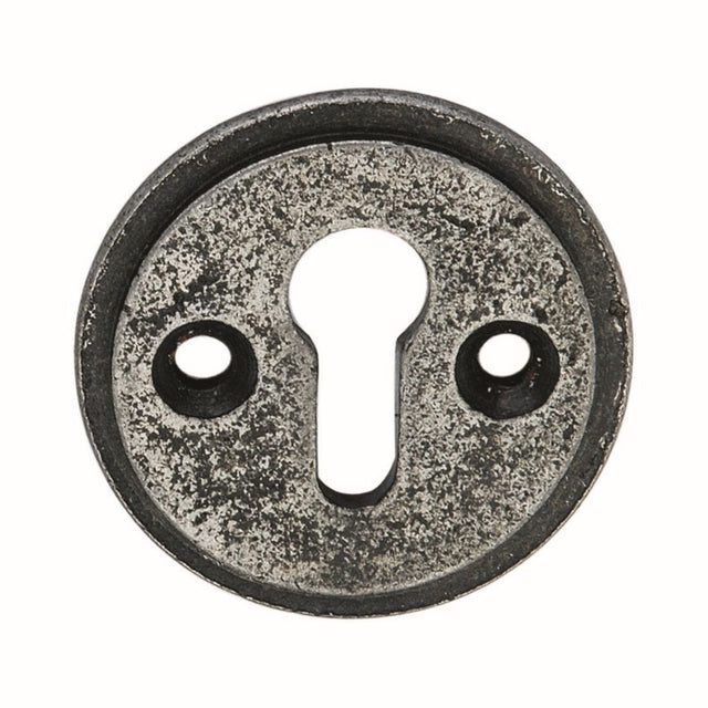 This is an image of Spira Brass - Round EscutcheonPewter available to order from T.H Wiggans Architectural Ironmongery in Kendal, quick delivery and discounted prices.
