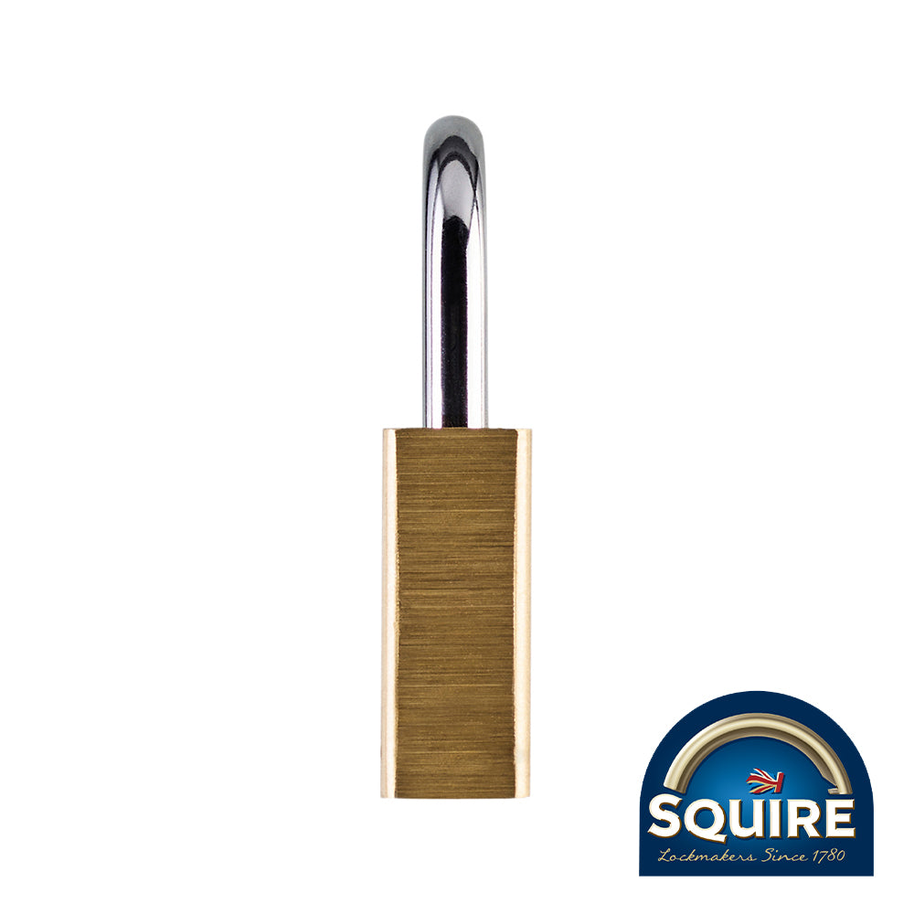 This is an image showing TIMCO Premium Brass Lion Padlock - LN4 - 40mm - 1 Each Blister Pack available from T.H Wiggans Ironmongery in Kendal, quick delivery at discounted prices.