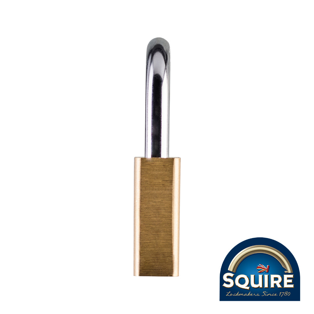 This is an image showing TIMCO Premium Brass Lion Padlock - LN60 - 60mm - 1 Each Blister Pack available from T.H Wiggans Ironmongery in Kendal, quick delivery at discounted prices.