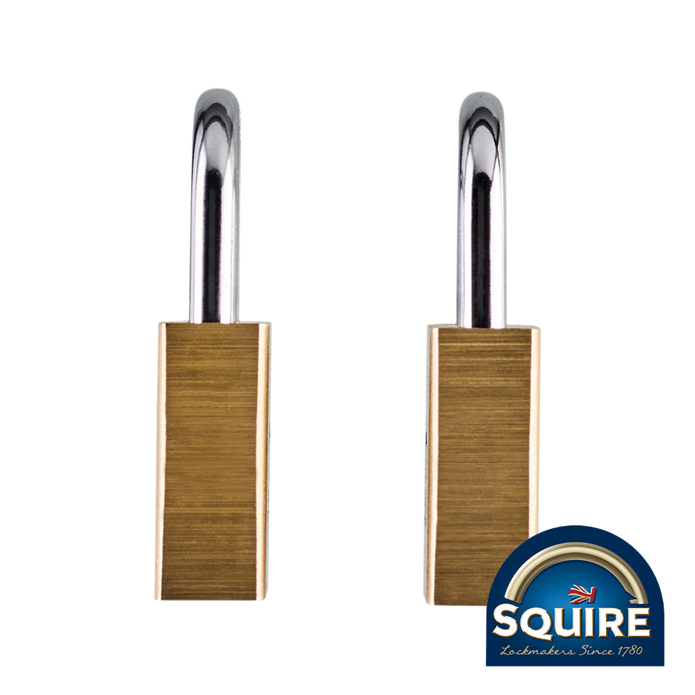 This is an image showing TIMCO Premium Brass Lion Padlock - Keyed Alike - LN4T - 40mm - 2 Pieces Blister Pack available from T.H Wiggans Ironmongery in Kendal, quick delivery at discounted prices.