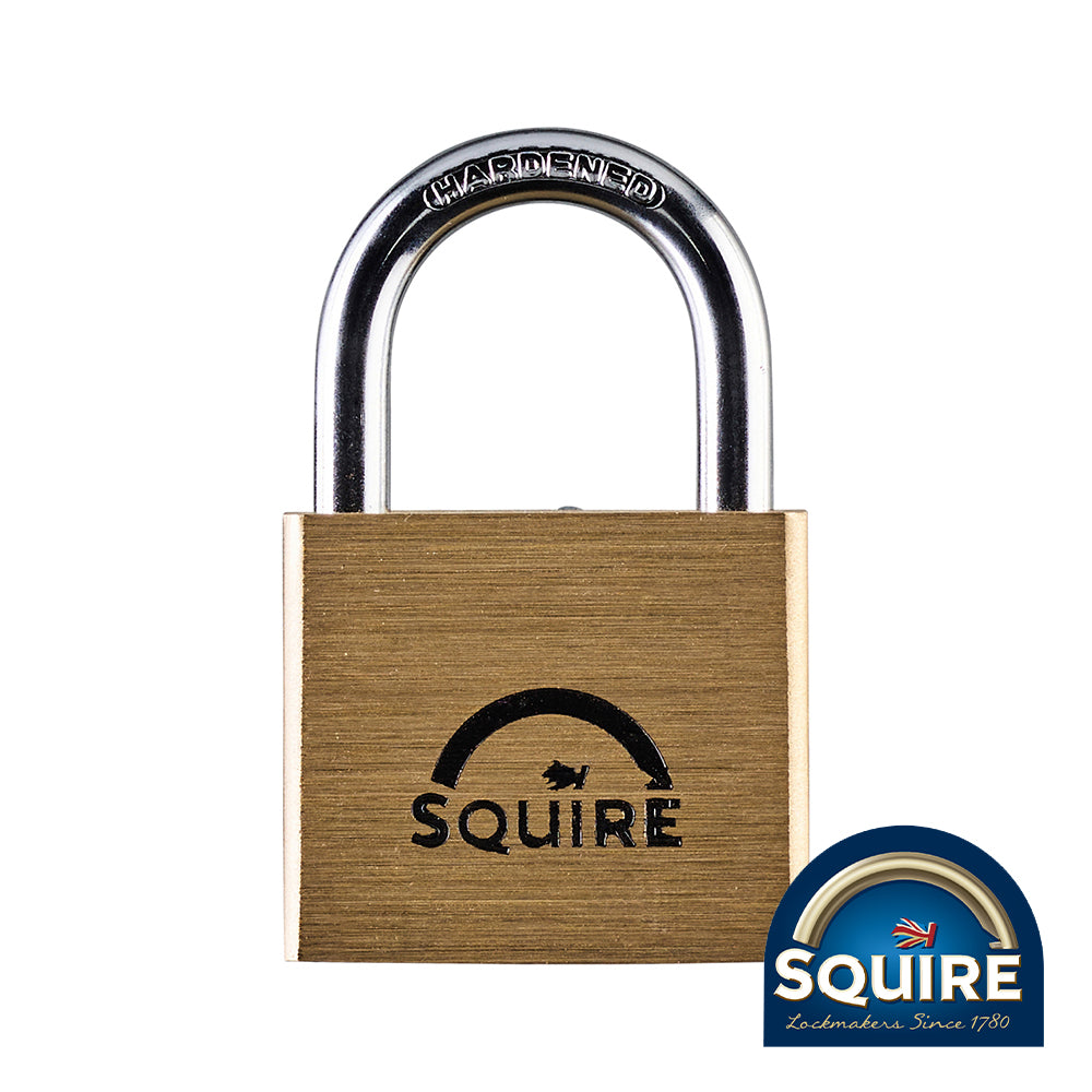 This is an image showing TIMCO Premium Brass Lion Padlock - Stainless Steel Shackle - LN4S - 40mm - 1 Each Blister Pack available from T.H Wiggans Ironmongery in Kendal, quick delivery at discounted prices.