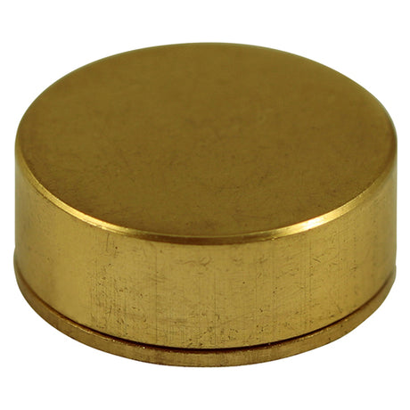 This is an image showing TIMCO Threaded Screw Caps - Solid Brass - Polished Brass - 14mm - 4 Pieces TIMpac available from T.H Wiggans Ironmongery in Kendal, quick delivery at discounted prices.