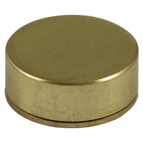 This is an image showing TIMCO Threaded Screw Caps - Solid Brass - Satin - 16mm - 4 Pieces TIMpac available from T.H Wiggans Ironmongery in Kendal, quick delivery at discounted prices.