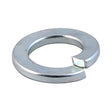 This is an image showing TIMCO Spring Washers - Zinc - M10 - 10 Pieces TIMpac available from T.H Wiggans Ironmongery in Kendal, quick delivery at discounted prices.
