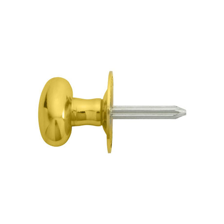 This is an image of a Carlisle Brass - Oval Thumb Turn - Polished Brass that is availble to order from T.H Wiggans Architectural Ironmongery in Kendal.