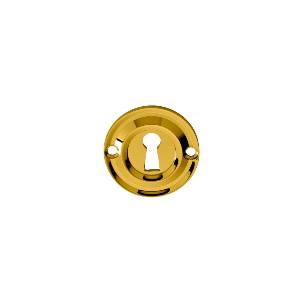 This is an image of Carlisle Brass - Small Escutcheon - Stainless Brass available to order from T.H Wiggans Architectural Ironmongery in Kendal, quick delivery and discounted prices.