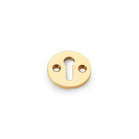 This is an image showing Alexander & Wilks Standard Profile Round Escutcheon - Unlacquered Brass aw380-ub available to order from T.H Wiggans Ironmongery in Kendal, quick delivery and discounted prices.