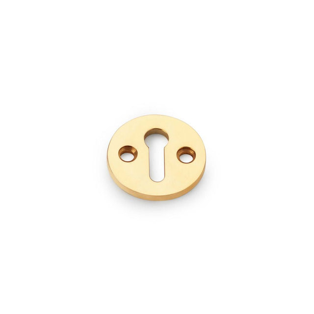 This is an image showing Alexander & Wilks Standard Profile Round Escutcheon - Unlacquered Brass aw380-ub available to order from T.H Wiggans Ironmongery in Kendal, quick delivery and discounted prices.