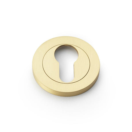 This is an image showing Alexander & Wilks Concealed Fix Escutcheon Euro Profile - Satin Brass aw390sb available to order from T.H Wiggans Ironmongery in Kendal, quick delivery and discounted prices.