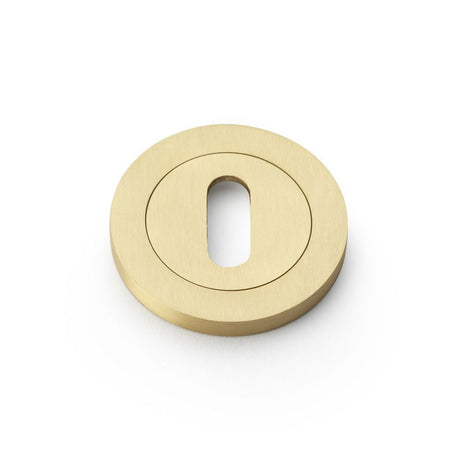 This is an image showing Alexander & Wilks Concealed Fix Escutcheon Standard Profile - Satin Brass aw391sb available to order from T.H Wiggans Ironmongery in Kendal, quick delivery and discounted prices.