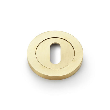 This is an image showing Alexander & Wilks Concealed Fix Escutcheon Standard Profile - Satin Brass PVD aw391sbpvd available to order from T.H Wiggans Ironmongery in Kendal, quick delivery and discounted prices.