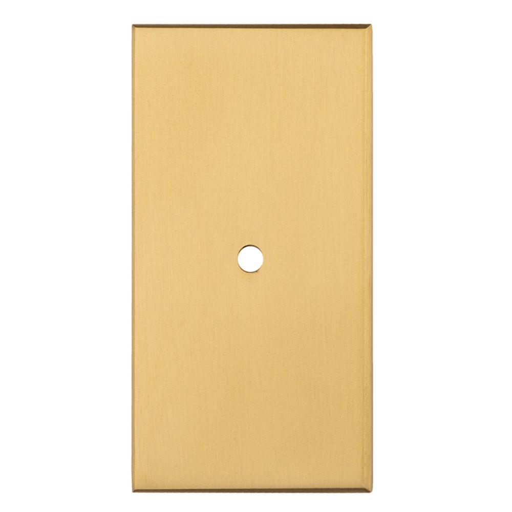 This is an image of a Carlisle Brass - Rectangular Cupboard knob Backplate that is availble to order from T.H Wiggans Architectural Ironmongery in Kendal in Kendal.