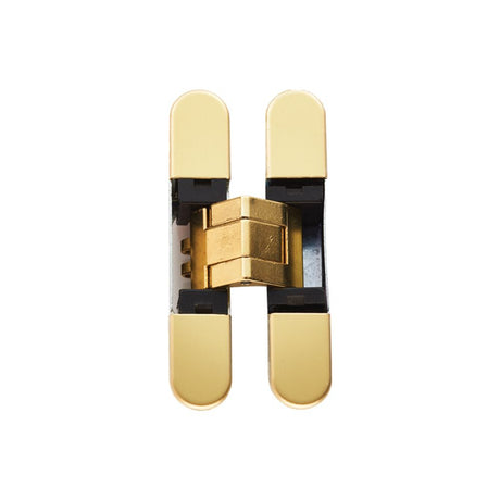 This is an image of a Eurospec - Ceam 3d Concealed Hinge 929 - Brass Plated that is availble to order from T.H Wiggans Architectural Ironmongery in in Kendal.