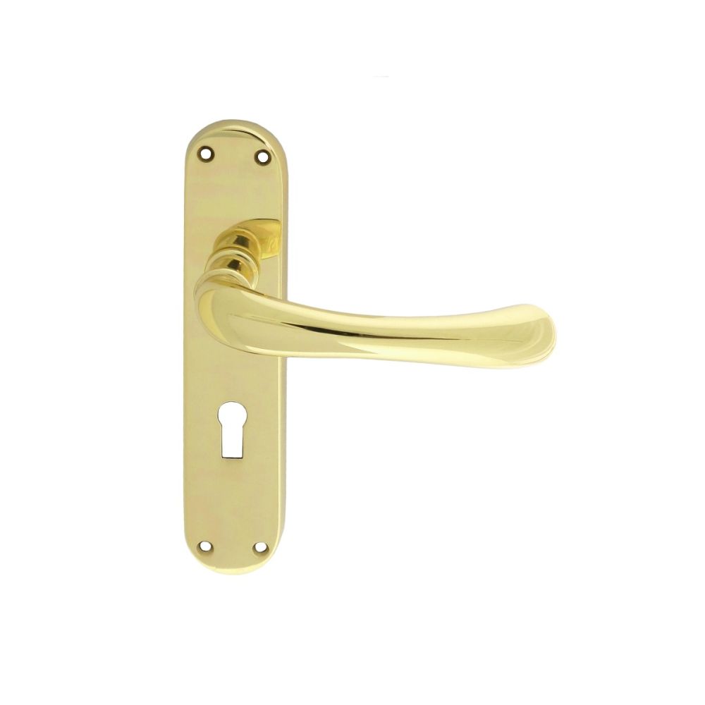 This is an image of Manital - Ibra Lever on Lock Backplate - Polished Brass available to order from T.H Wiggans Architectural Ironmongery in Kendal, quick delivery and discounted prices.