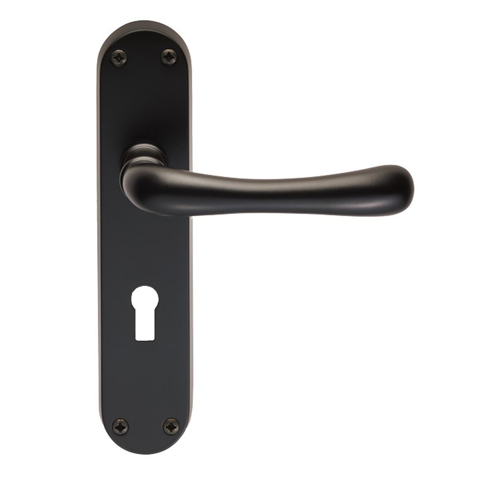 This is an image of Manital - Ibra Lever on Lock Backplate - Matt Black available to order from T.H Wiggans Architectural Ironmongery in Kendal, quick delivery and discounted prices.