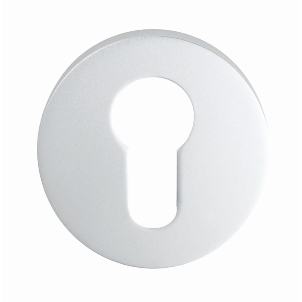 This is an image of Eurospec - Euro Escutcheon - Satin Anodised Aluminium available to order from T.H Wiggans Architectural Ironmongery in Kendal, quick delivery and discounted prices.