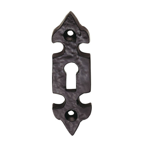 This is an image of Ludlow - Fleur de lys' Escutcheon - Black Antique available to order from T.H Wiggans Architectural Ironmongery in Kendal, quick delivery and discounted prices.