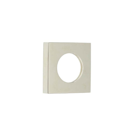 This is an image of Burlington - 52x52mm PN plain square outer rose for levers and t&r available to order from T.H Wiggans Architectural Ironmongery in Kendal, quick delivery and discounted prices.