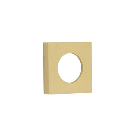 This is an image of Burlington - 52x52mm SB plain square outer rose for levers and t&r available to order from T.H Wiggans Architectural Ironmongery in Kendal, quick delivery and discounted prices.