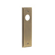 This is an image of a Burlington - Latch Plate Choices that is availble to order from T.H Wiggans Architectural Ironmongery in Kendal.