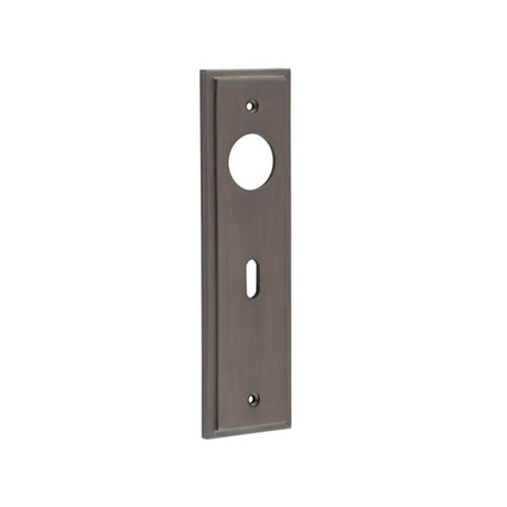 This is an image of a Burlington - Standard Lock Plate Choices that is availble to order from T.H Wiggans Architectural Ironmongery in Kendal.