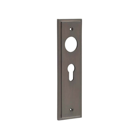 This is an image of a Burlington - Euro Profile Lock Plate Choices that is availble to order from T.H Wiggans Architectural Ironmongery in Kendal.