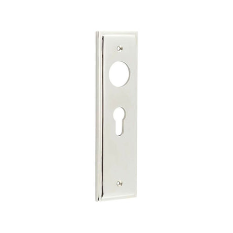 This is an image of a Burlington - Euro Profile Lock Plate Choices that is availble to order from T.H Wiggans Architectural Ironmongery in Kendal.