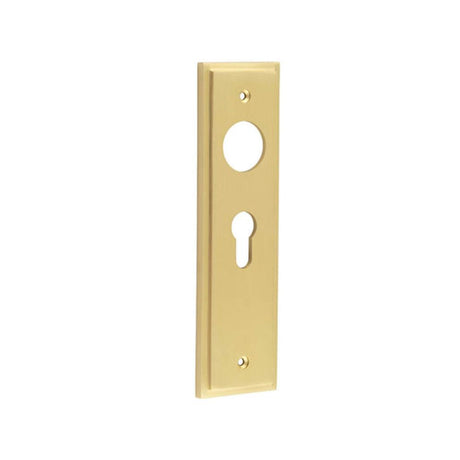 This is an image of Burlington - Euro Profile Lock Plate Choices available to order from T.H Wiggans Architectural Ironmongery in Kendal, quick delivery and discounted prices.