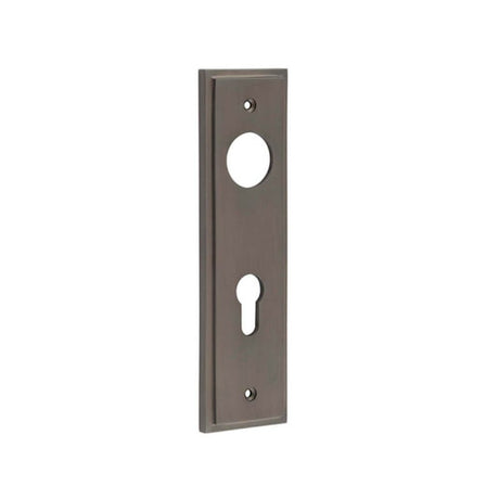 This is an image of a Burlington - Din Euro Profile Lock Plate Choices that is availble to order from T.H Wiggans Architectural Ironmongery in Kendal.
