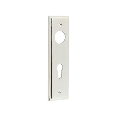 This is an image of a Burlington - Din Euro Profile Lock Plate Choices that is availble to order from T.H Wiggans Architectural Ironmongery in Kendal.