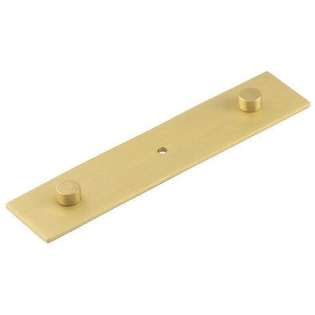 This is an image of a Hoxton - Fanshaw SB 140x30mm Back Plate Concealed Screw Caps that is availble to order from T.H Wiggans Architectural Ironmongery in Kendal in Kendal.