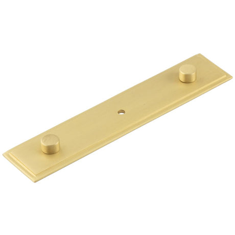 This is an image of a Hoxton - Rushton SB 140x30mm Back Plate With Concealed Screw Caps that is availble to order from T.H Wiggans Architectural Ironmongery in Kendal in Kendal.
