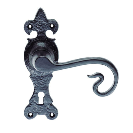 This is an image of Ludlow - Curly Tail Lever on Lock Backplate - Black Antique available to order from T.H Wiggans Architectural Ironmongery in Kendal, quick delivery and discounted prices.