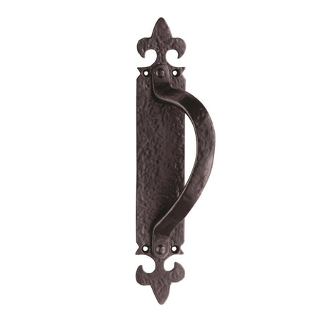 This is an image of Ludlow - Offset Pull Handle on Backplate Right Hand - Black Antique available to order from T.H Wiggans Architectural Ironmongery in Kendal, quick delivery and discounted prices.