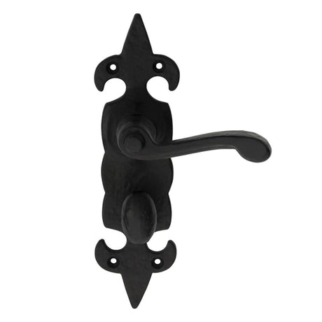 This is an image of Ludlow - Fleur de lys' Lever on WC Backplate - Black Antique available to order from T.H Wiggans Architectural Ironmongery in Kendal, quick delivery and discounted prices.
