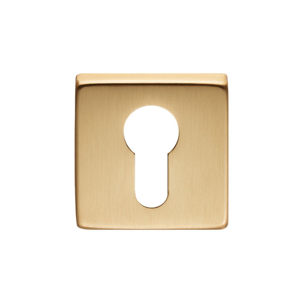 This is an image of Manital - Square Euro Profile Escutcheon - Satin Brass available to order from T.H Wiggans Architectural Ironmongery in Kendal, quick delivery and discounted prices.