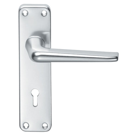 This is an image of Eurospec - Aluminium Lever on Lock Backplate - Satin Anodised Aluminium available to order from T.H Wiggans Architectural Ironmongery in Kendal, quick delivery and discounted prices.