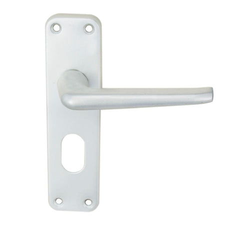 This is an image of Eurospec - Aluminium Lever On Backplate - Lock Oval Profile 48.5Mm C/C - Satin A available to order from T.H Wiggans Architectural Ironmongery in Kendal, quick delivery and discounted prices.
