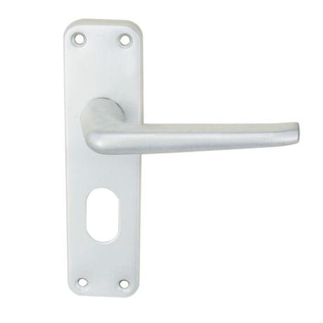 This is an image of Eurospec - Aluminium Lever On Backplate - Lock Oval Profile 48.5Mm C/C - Satin A available to order from T.H Wiggans Architectural Ironmongery in Kendal, quick delivery and discounted prices.