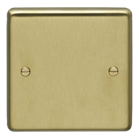 This is an image showing Eurolite Stainless Steel Single Blank Plate - Satin Brass (With Black Trim) sb1b available to order from T.H. Wiggans Ironmongery in Kendal, quick delivery and discounted prices.