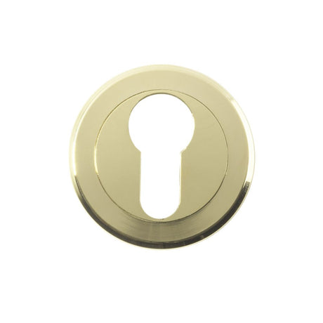 This is an image of Serozzetta - Euro Profile Escutcheon - Stainless Brass available to order from T.H Wiggans Architectural Ironmongery in Kendal, quick delivery and discounted prices.