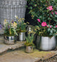 Home & Garden