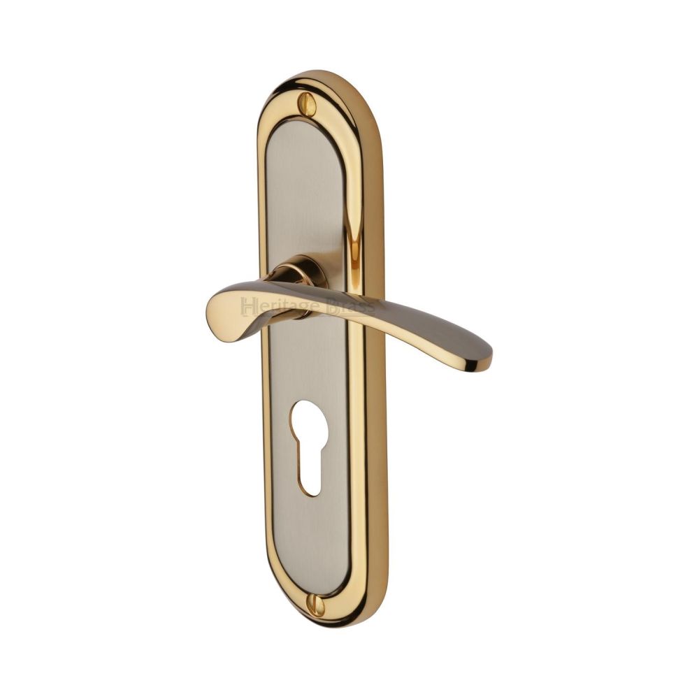 This is an image of a Heritage Brass - Door Handle for Euro Profile Plate Ambassador Design Jupiter Fi, amb6248-jp that is available to order from T.H Wiggans Ironmongery in Kendal.